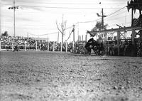 [Unidentified Cowboy leaving side of bronc, one leg pointing straight up is visible]