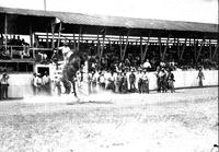 Bob Fisher on "Pat Murphy" Wolf Point Stampede