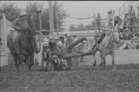 Bob Juker Steer wrestling