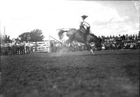 [Unidentified Cowboy riding and staying with Saddle bronc with Left arm extended up and out]