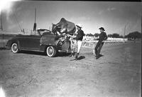 [Possibly Kid Roberts leading Brahma bull over automobile]