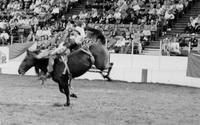 R.C. Patterson on Wrecker