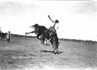 Ray Maveridy on "Kick a Mile" Wolf Point Rodeo