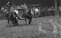 Kurt Butler Steer wrestling