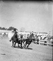 Jack Hughes Bulldogging - Empire Fair - Billings