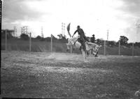 [Unidentified Youthful Cowboy riding bronc]