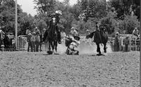 Fred Larsen Steer wrestling