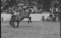 Tony Hecksher on Ridge Runner