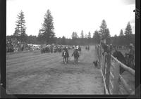 Veva McCoin in Girls Horse Race