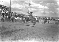 [Possibly Alice Greenough saddle bronc riding]