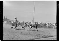Ed Coffey Steer Wrestle