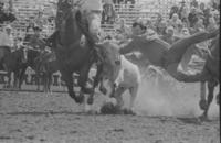 Terry Lee Thompson Steer wrestling