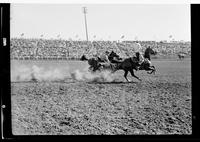 Bill Linderman Steer Wrestlin