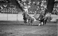 Steve Flinn Steer wrestling