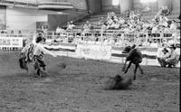 Chas. Kenney Calf roping