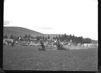 Curtis Tarwater Calf Roping