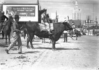 [Rotund cowboy sitting atop bull in street scene]