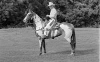 Unidentified cowboy on horseback