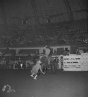 Unidentified rider on unknown mount