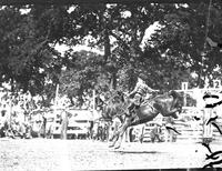 Peggy Long on "Cross O Baldy" Wins Bronk Riding Ardmore Rodeo