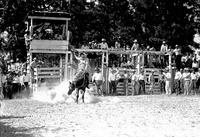 Aunt Susan Rides a Bronc for Fun at the Rodeo