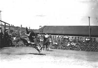 Ray Larson in Bramah Steer Riding, North Platte Round-Up