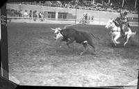 Bill Clemens and Harry Knight Team Roping