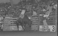 Art Ray on Bull #222