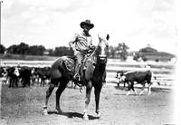[Unidentified Cowboy on horseback in cattle corral]