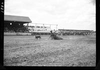 Al Skelton Calf Roping