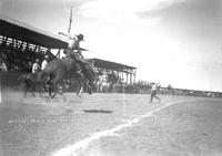 Whitey Rains on "Big Wolf" Wolf Point Stampede