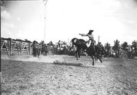 [Possibly Margie Greenough riding bronc]