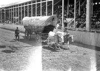 Old Covered Wagon Built in 1843 Made the Trip to Calif. In 1849. At Iowa's Big Rodeo 1933