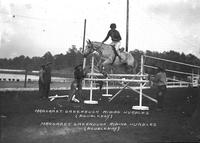 Margaret Greenough Riding Hurdles