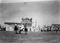 Dick Truitt Bulldogging Pampa Rodeo