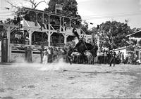 [Unidentified Cowgirl riding bronc]