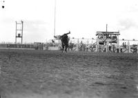 [Unidentified Cowboy hanging off side of bronc]