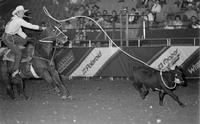 Roy Cooper Calf roping