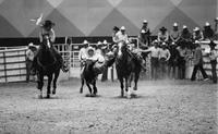 Larry Ferguson Steer wrestling