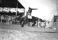 [Unidentified Cowboy with initials "JM" on chaps rides a bronc]