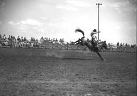 [Tack Bolton riding bronc]