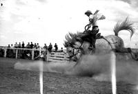 [Unidentified Cowboy riding bronc]