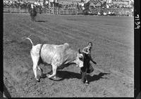 Felix Cooper hit by a Bull