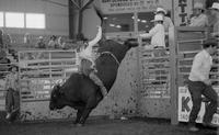 Jackie Haynes on Bull #3S9