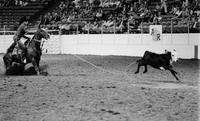 Paul Tierney Calf roping