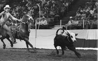 Larry Matzke Calf roping