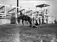 Bob Whiteside on?  "Fire Fly" Memphis Fair & Rodeo