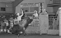 Bret Hammonds on Bull #220