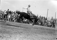 [Unidentified Cowboy riding bronc]