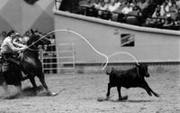 Roger Branch Calf roping, 11.6 Sec